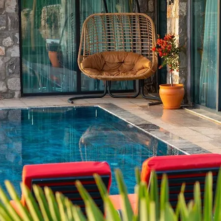 Terra Liva Kozagaci