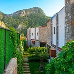 Terra Lıva