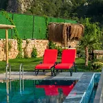 Terra Lıva Kozagaci