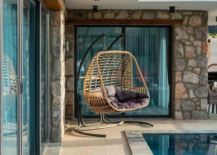 Terra Liva * Kozagaci