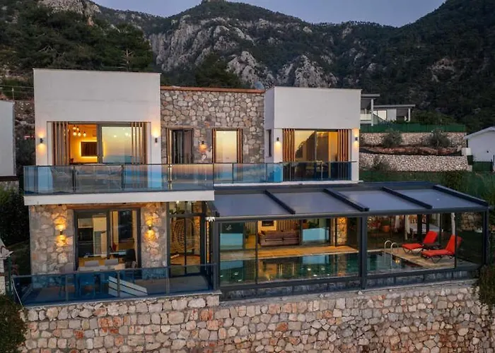 Terra Liva * Kozagaci